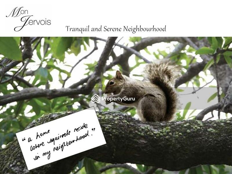 For Rent - Mon Jervois