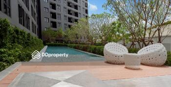 Asa Ayutthaya - Rojana : อาสะ อยุธยา-โรจนะ