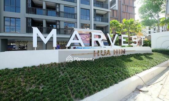 ให้เช่า - Marvest Hua Hin : มาร์เวสท์ หัวหิน, ประจวบคีรีขันธ์