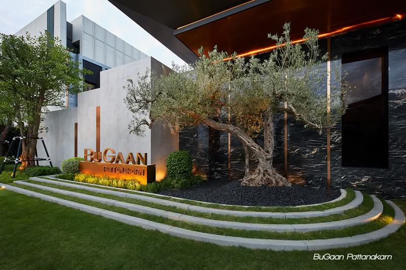 Bugaan Pattanakarn : บูก้าน พัฒนาการ