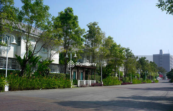 ขาย - Areeya Busaba Ladprao : อารียา บุษบา ลาดพร้าว, กรุงเทพ