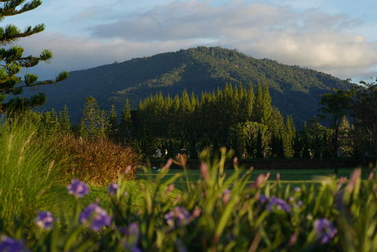 ขาย - Bella Del Monte : เบลล่า เดล มอนเต้, นครราชสีมา