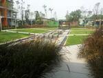 Midfields #0