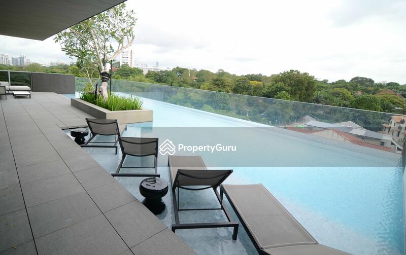 Rooftop Pool View