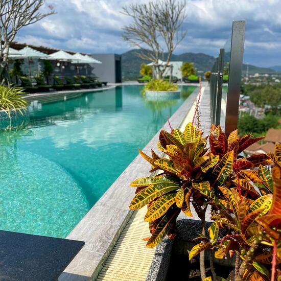 ให้เช่า - Calypso Garden Residences : คาลิปโซ่ การ์เด้น เรสซิเดนซ์เซ็ส, ภูเก็ต