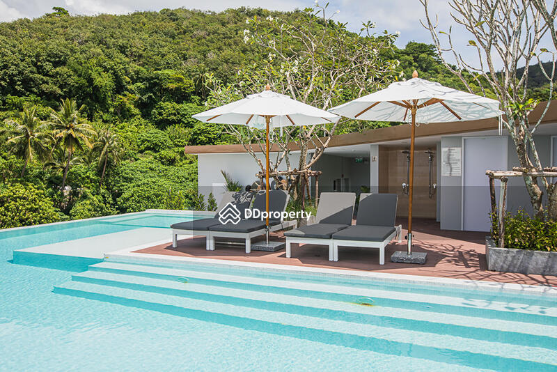 ขาย - Palmetto Condominium : พัลเมตโต้ คอนโด, ภูเก็ต