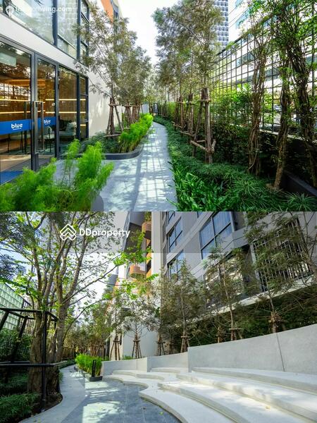 ให้เช่า - Blue Sukhumvit 89 : บลู สุขุมวิท 89, กรุงเทพ