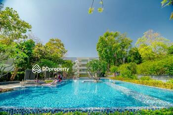 Baan Sandao : บ้านแสนดาว