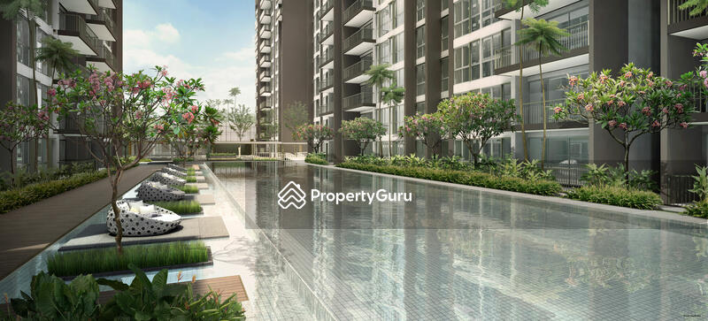50m lap pool at Urban Forest
