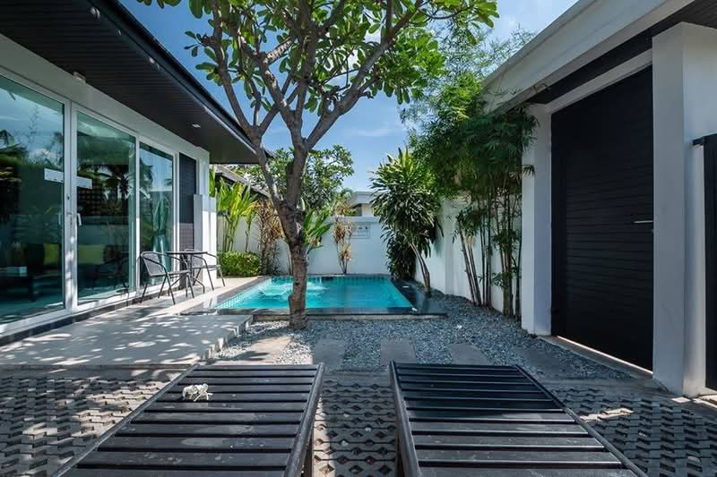 Palm Oasis : ปาล์ม โอเอซิส