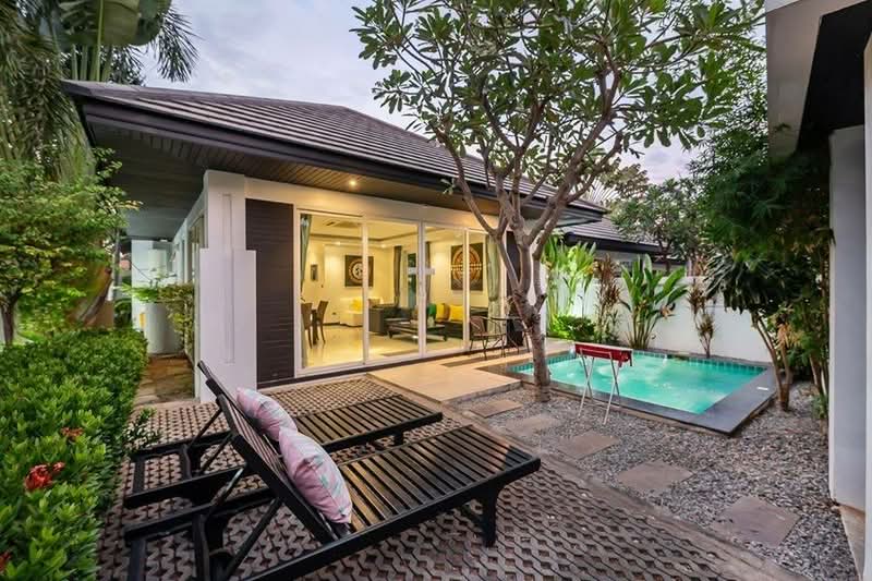 Palm Oasis : ปาล์ม โอเอซิส