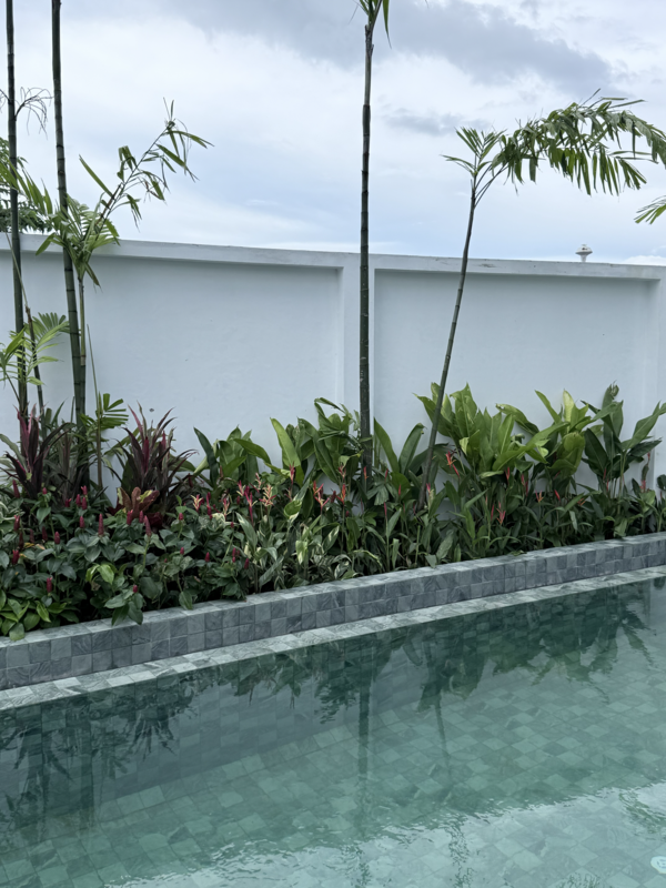 Rainpalm Villas : เรนปาล์ม วิลล่า