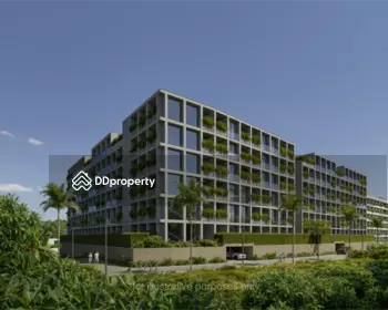 Terra Grove Layan : เทอร์ร่า โกรฟ ลายัน