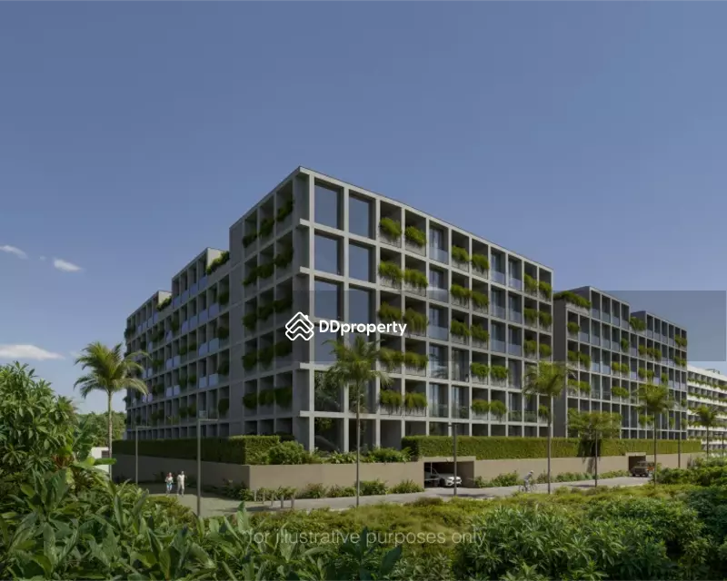 Terra Grove Layan : เทอร์ร่า โกรฟ ลายัน #0