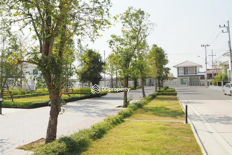 ขาย - Patreeda Avenue: Pathum Thani 1 : ภัทรีดา อเวนิว ปทุมธานี 1, ปทุมธานี
