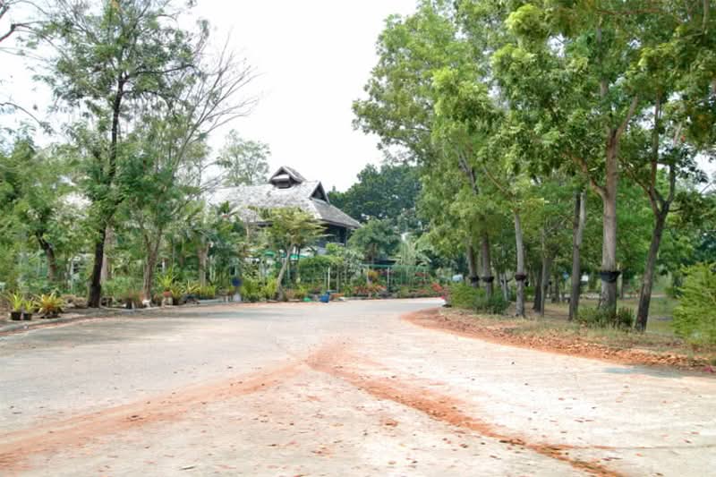 Baan Mai Ing Than, Nonthaburi, Salaya-Nakhon Chai Si Road, Sala Klang, Bang Kruai, Nonthaburi, 4 Bedrooms, 150 sqm, Single Detached House For Sale, by คุณแบล็ค, 500211668 - DDproperty.com