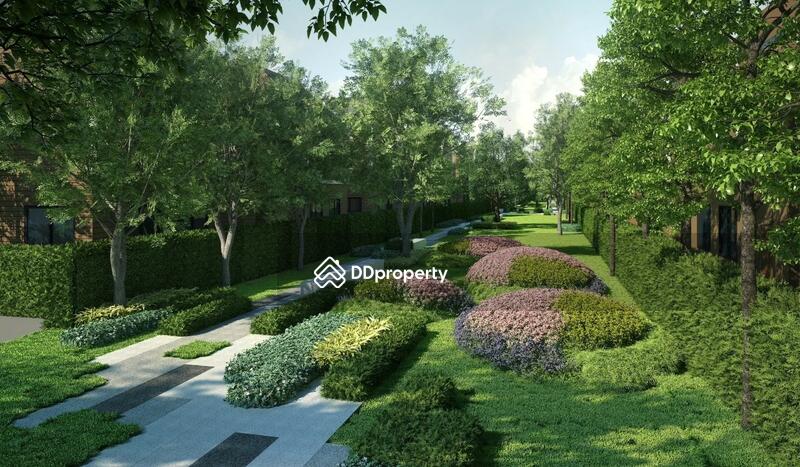 For Sale - Siamese Holm Phahol-Vibhavadi, Pathum Thani