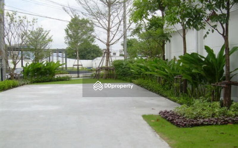 For Sale - The Terrace Petchkasem 63, Bangkok