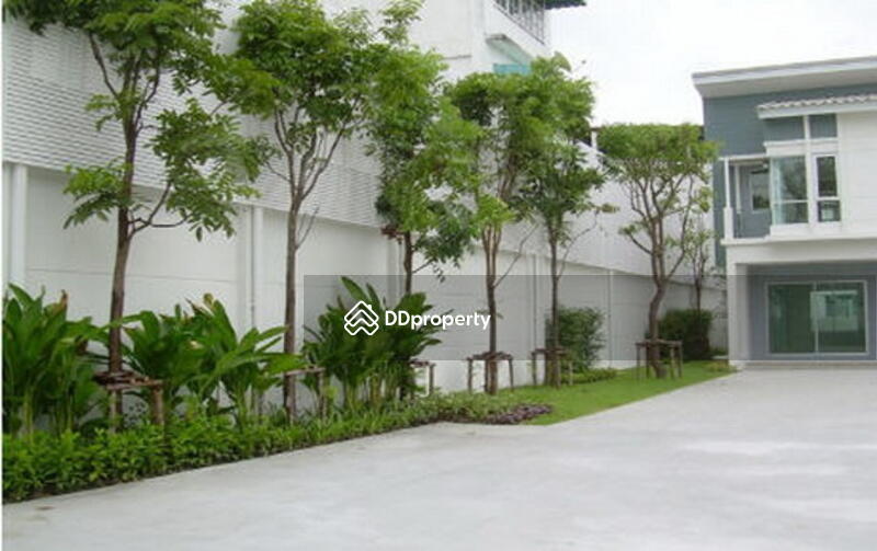 For Sale - The Terrace Petchkasem 63, Bangkok