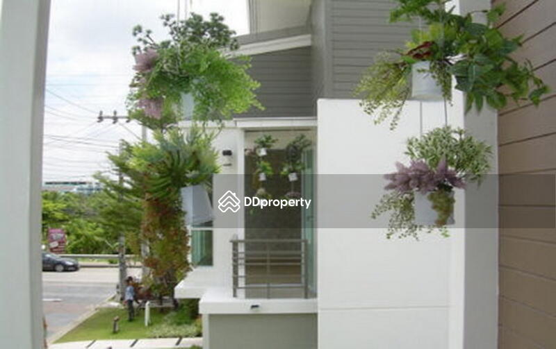 For Sale - The Terrace Petchkasem 63, Bangkok
