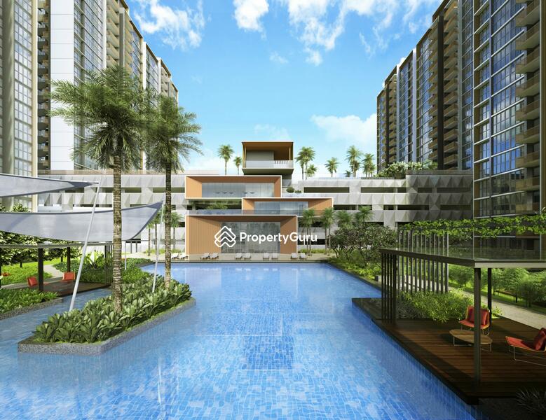 Family Pool