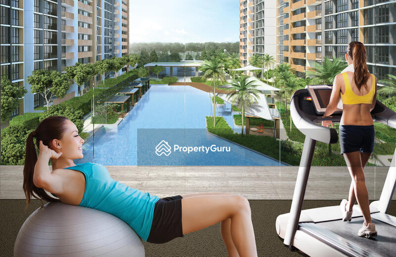 Gymnasium overlooking Family Pool