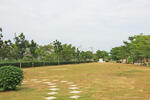 Pana Park : โครงการพานาปาร์ค #0