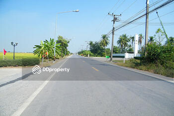 Pruek Saran Lamlukka Khlong 9 : พฤกษ์สราญ ลำลูกกา คลอง 9