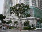 Gurney Paragon #0