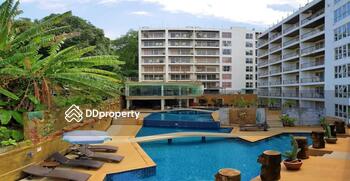 Bayshore Oceanview : เบย์ชอร์ โอเชี่ยน วิว