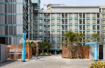 Brixton Campus Bangsaen : บริกซ์ตัน แคมปัส บางแสน
