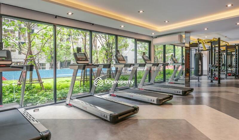 For Rent - Plum Condo Rangsit Fresh, Pathum Thani