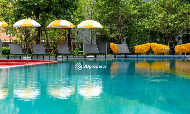 For Rent - Plum Condo Rangsit Fresh, Pathum Thani