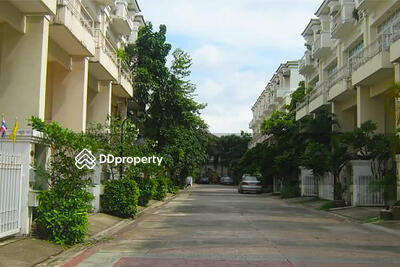 - City Plus Sukhumvit 50 : ซิตี้ พลัส สุขุมวิท 50