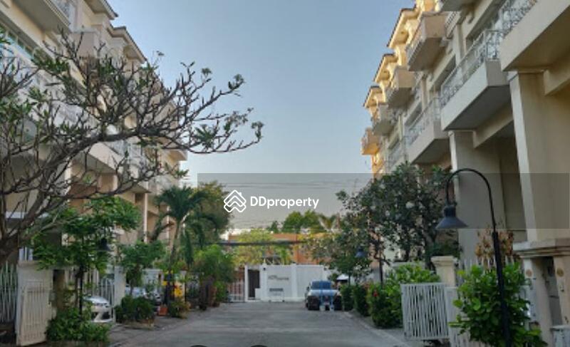 City Plus Sukhumvit 50 : ซิตี้ พลัส สุขุมวิท 50  #0