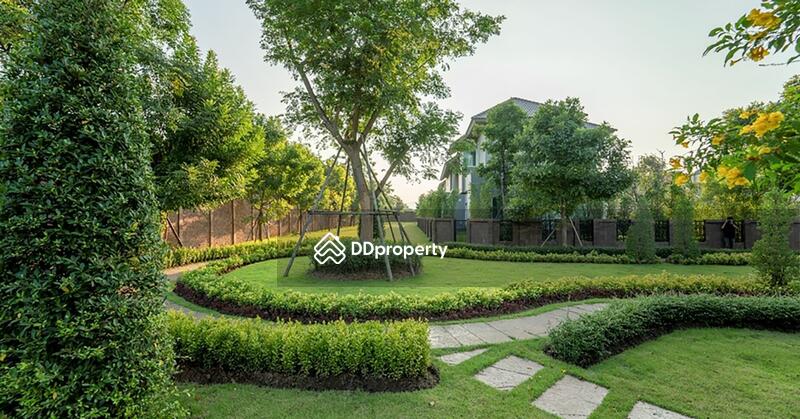 For Rent - Laddarom Elegance Salaklang Chiangmai, Chiang Mai