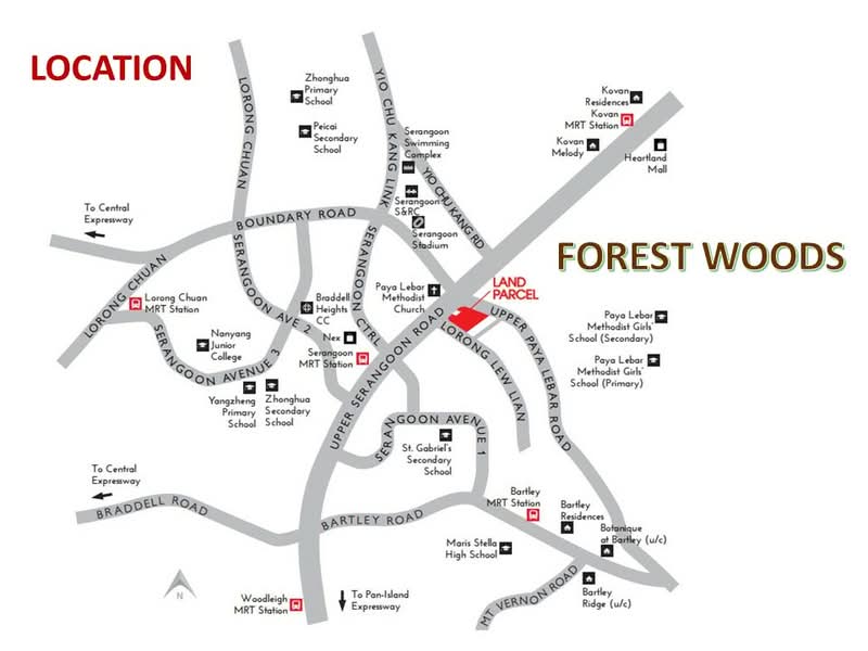 Forest Woods