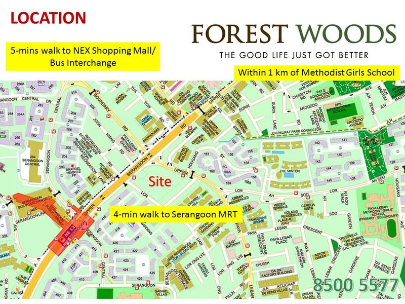 Forest Woods