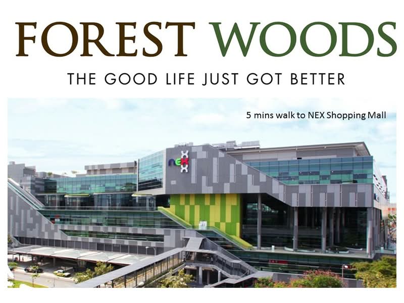 Forest Woods