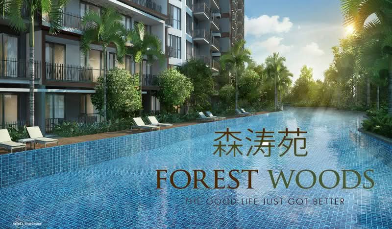 Forest Woods