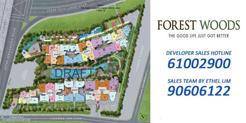 Forest Woods