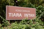 Tiara Intan #0
