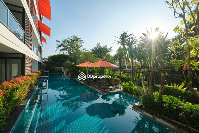 ให้เช่า - Sunshine International Residences : ซันไชน์ อินเตอร์เนชั่นแนล เรสซิเดนซ์, ประจวบคีรีขันธ์