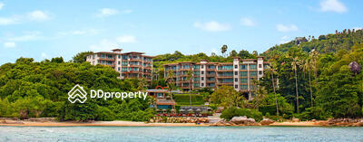 - Shasa Resort & Residences