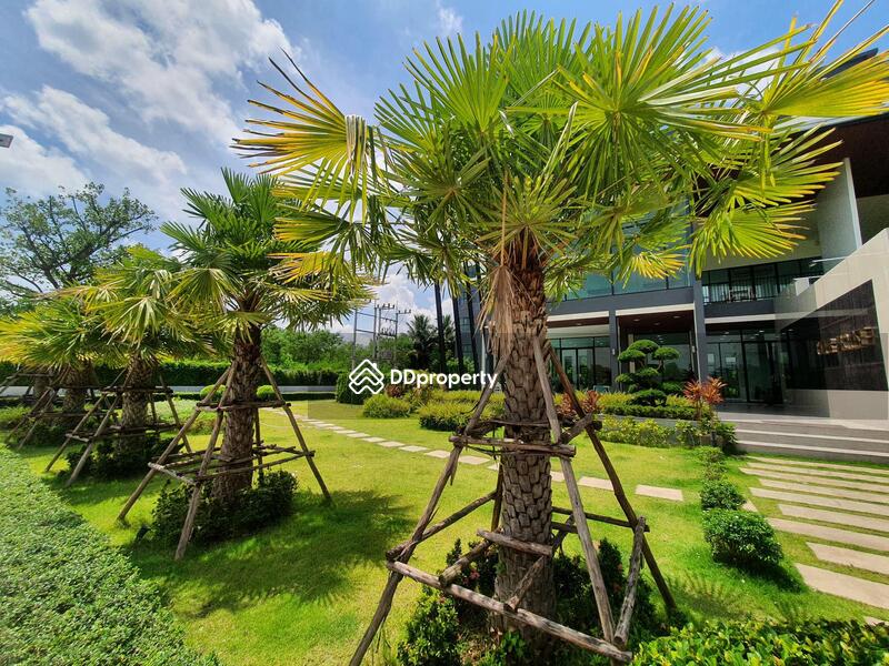 ให้เช่า - The City Hatyai : เดอะ ซิตี้ หาดใหญ่, สงขลา