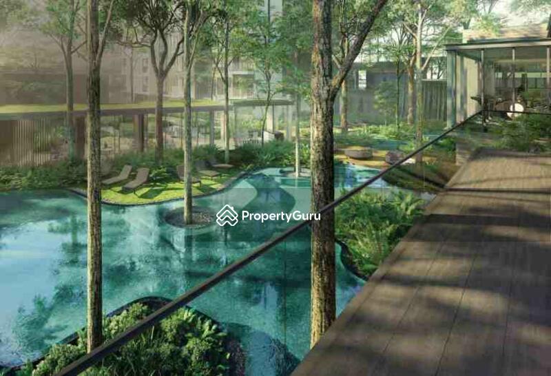 For Sale - The Clement Canopy