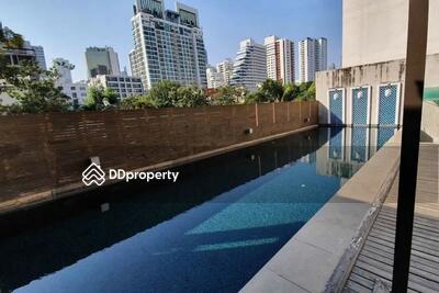  - The Knight Sukhumvit 31 : เดอะ ไนท์ สุขุมวิท 31