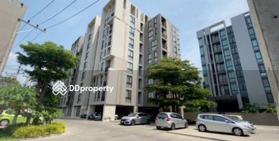 - Palm Springs Nimman Royal