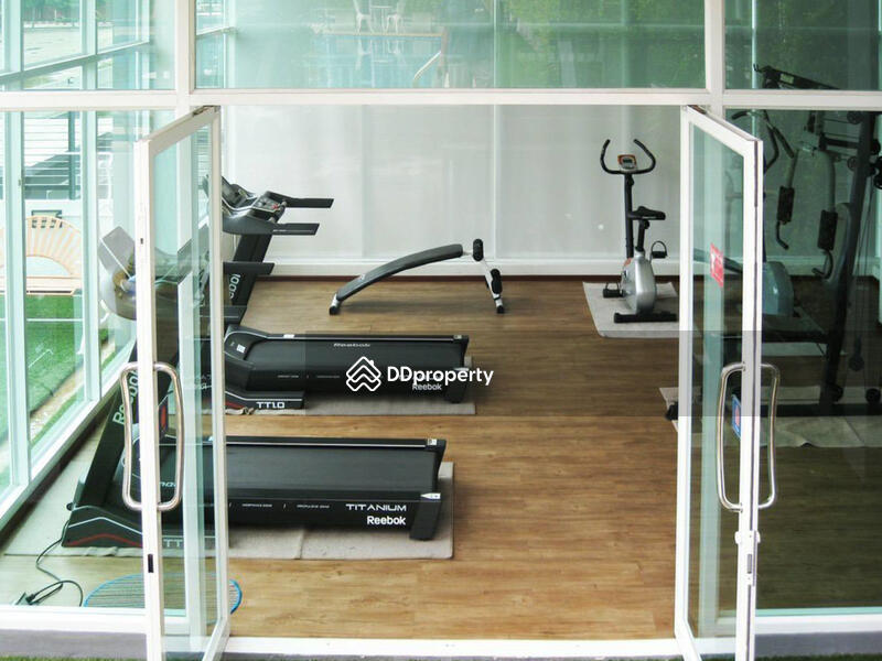 ขาย - My Hip Condo 2 : มาย ฮิป คอนโด2, เชียงใหม่
