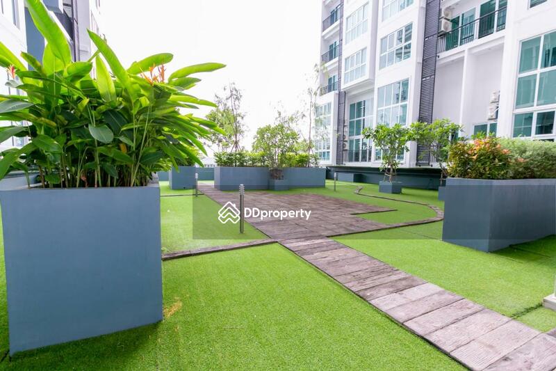 For Rent - Locals Prio Chiang Mai Central Airport Plaza, Chiang Mai